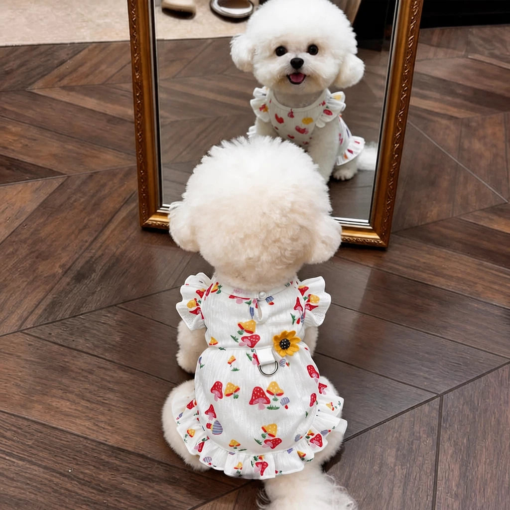 Cotton Bow Dress for Small Dogs and Cats