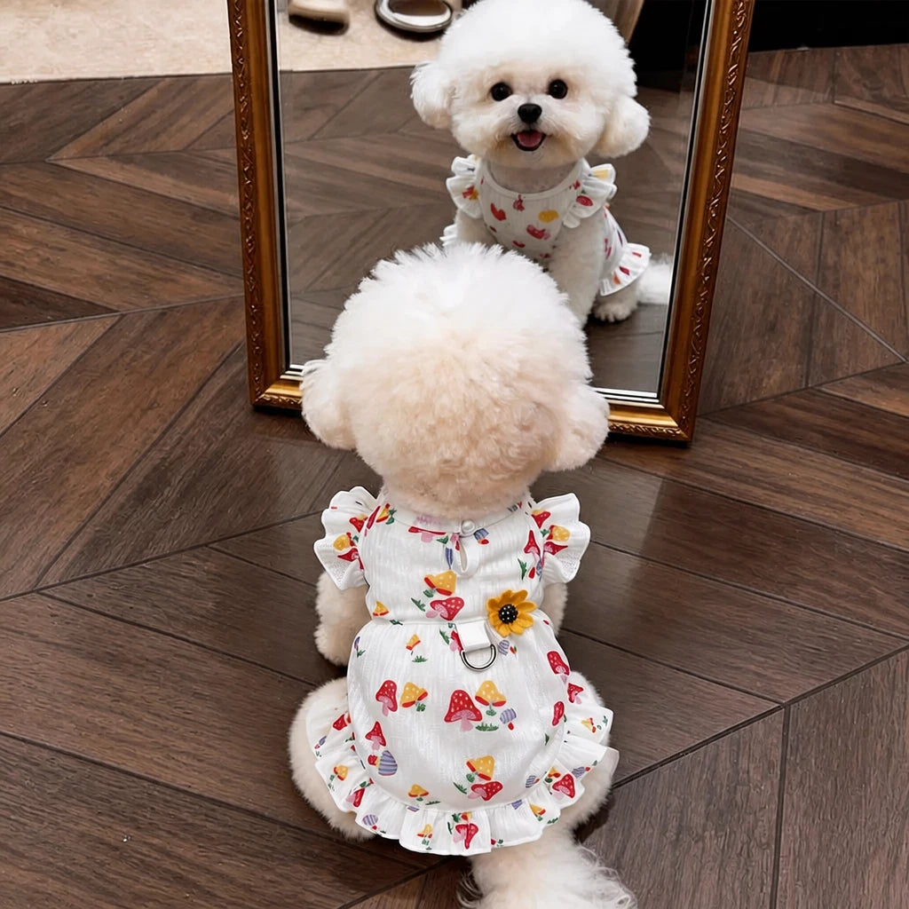 Cotton Bow Dress for Small Dogs and Cats