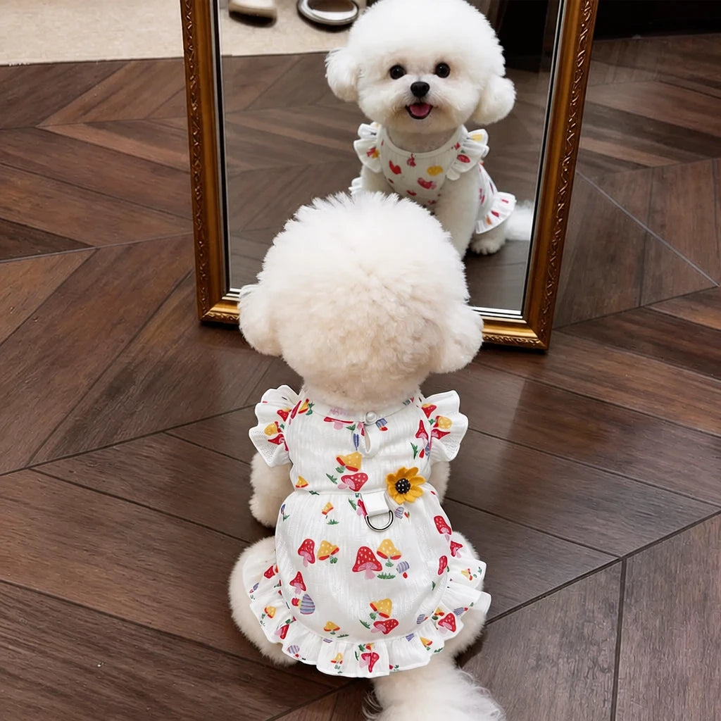 Cotton Bow Dress for Small Dogs and Cats