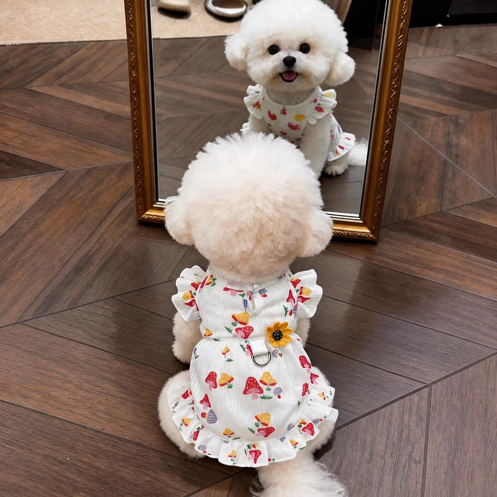 Cotton Bow Dress for Small Dogs and Cats