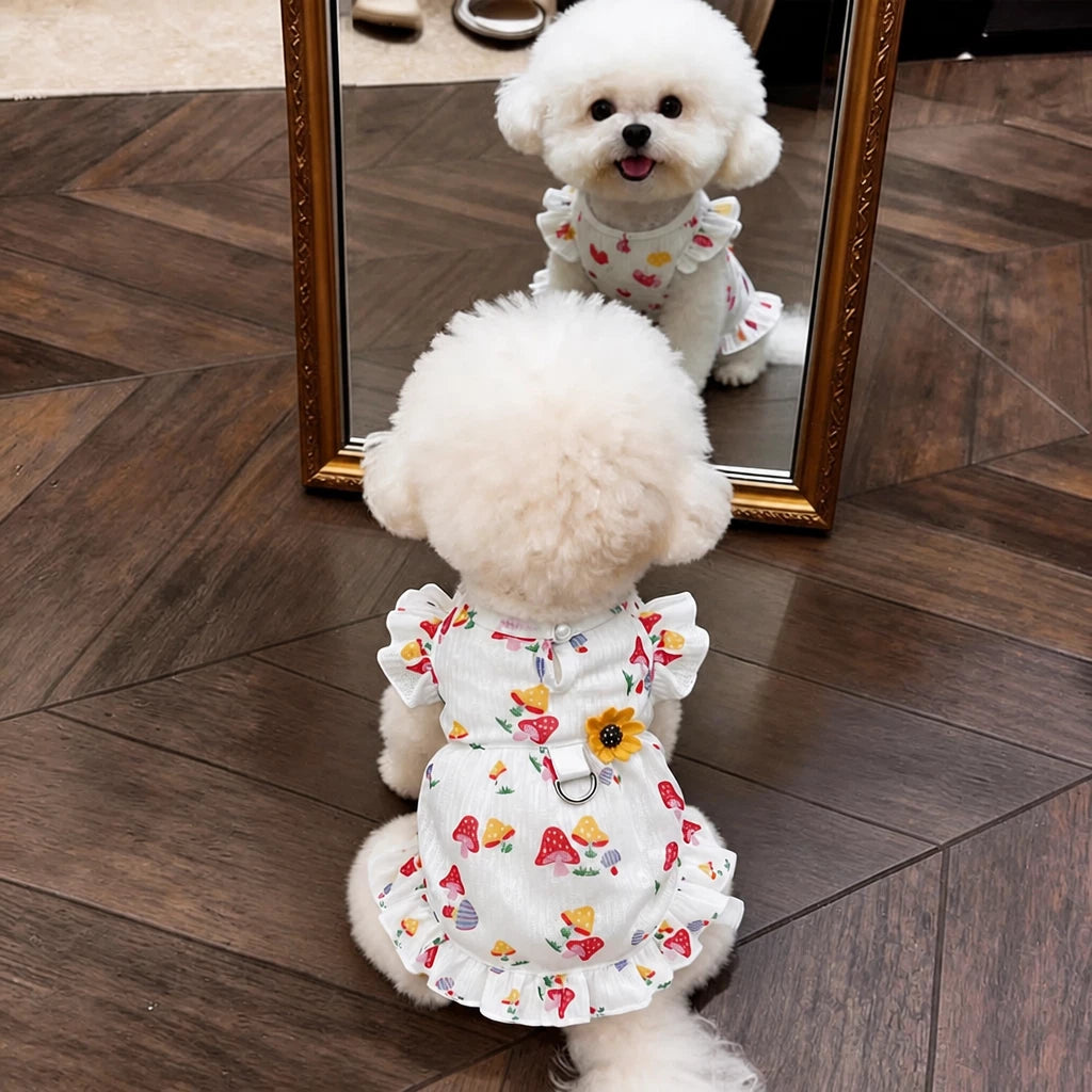 Cotton Bow Dress for Small Dogs and Cats