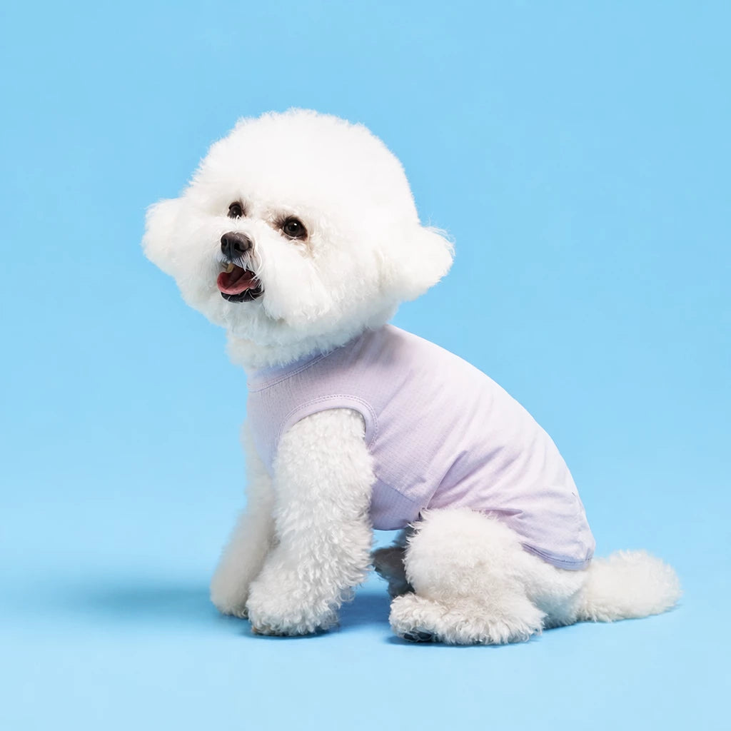 Lightweight Sleeveless Polyester Dog Vest