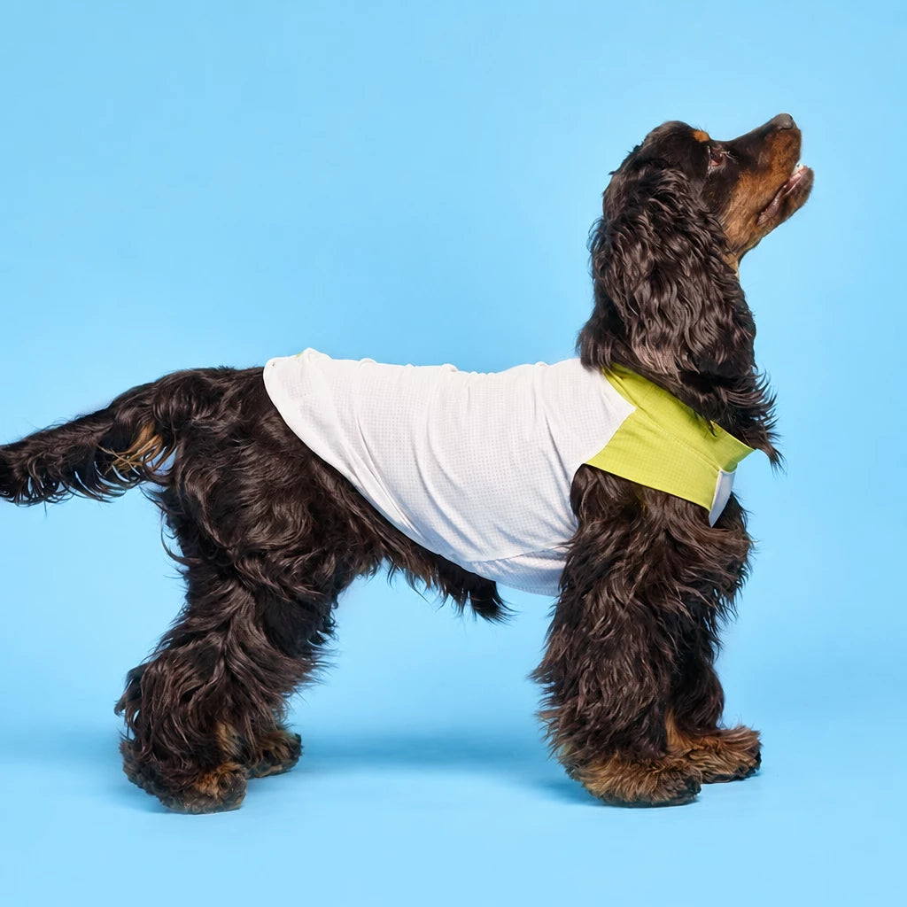 Lightweight Sleeveless Polyester Dog Vest