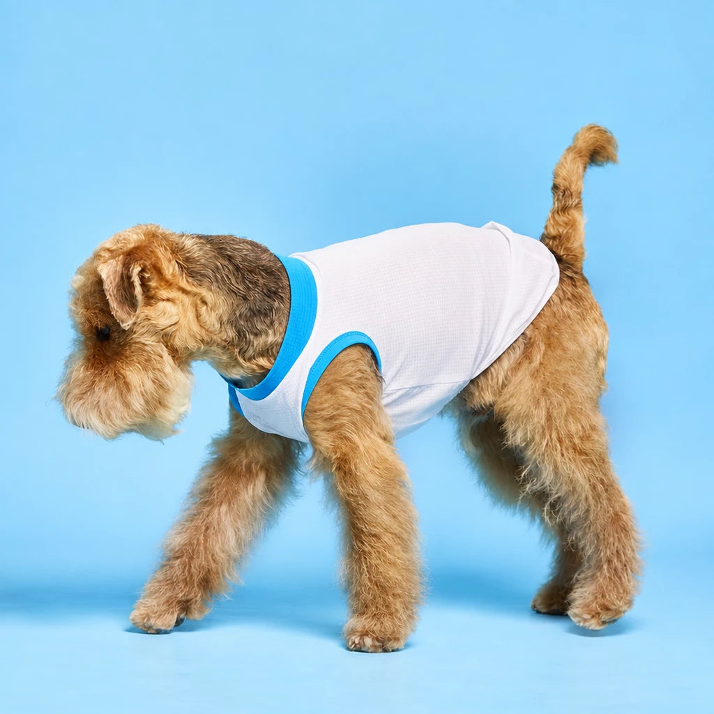 Lightweight Sleeveless Polyester Dog Vest
