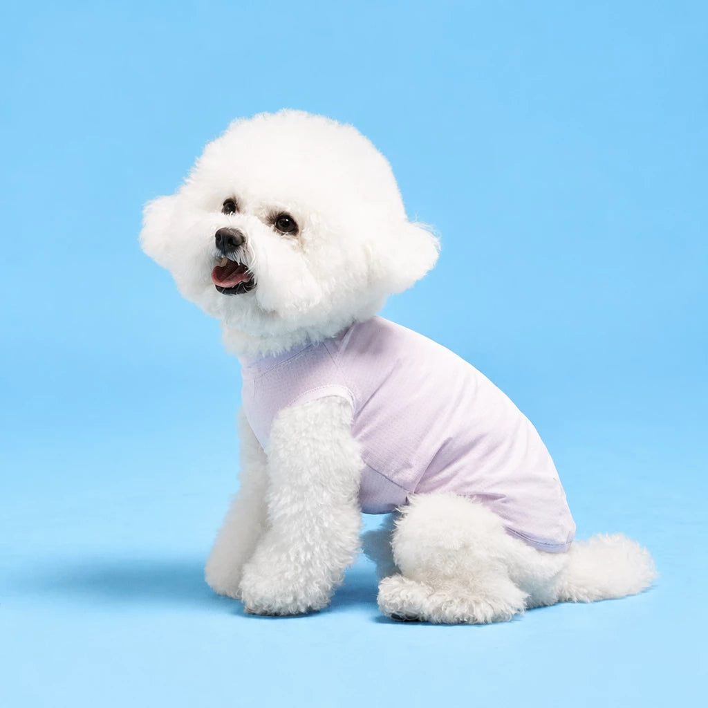 Lightweight Sleeveless Polyester Dog Vest