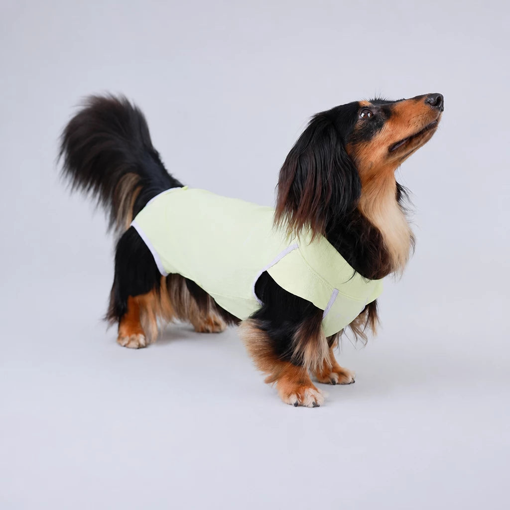 Lightweight Sleeveless Everyday Pet Shirt for Dogs and Cats