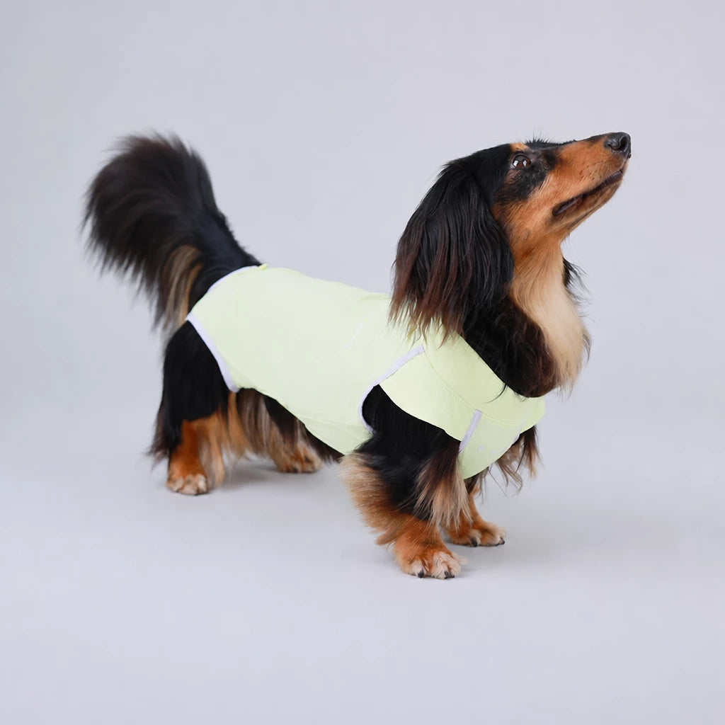 Lightweight Sleeveless Everyday Pet Shirt for Dogs and Cats