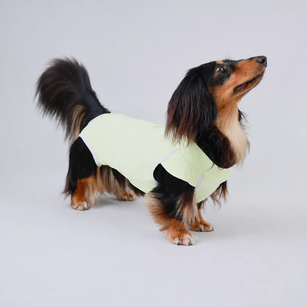 Lightweight Sleeveless Everyday Pet Shirt for Dogs and Cats