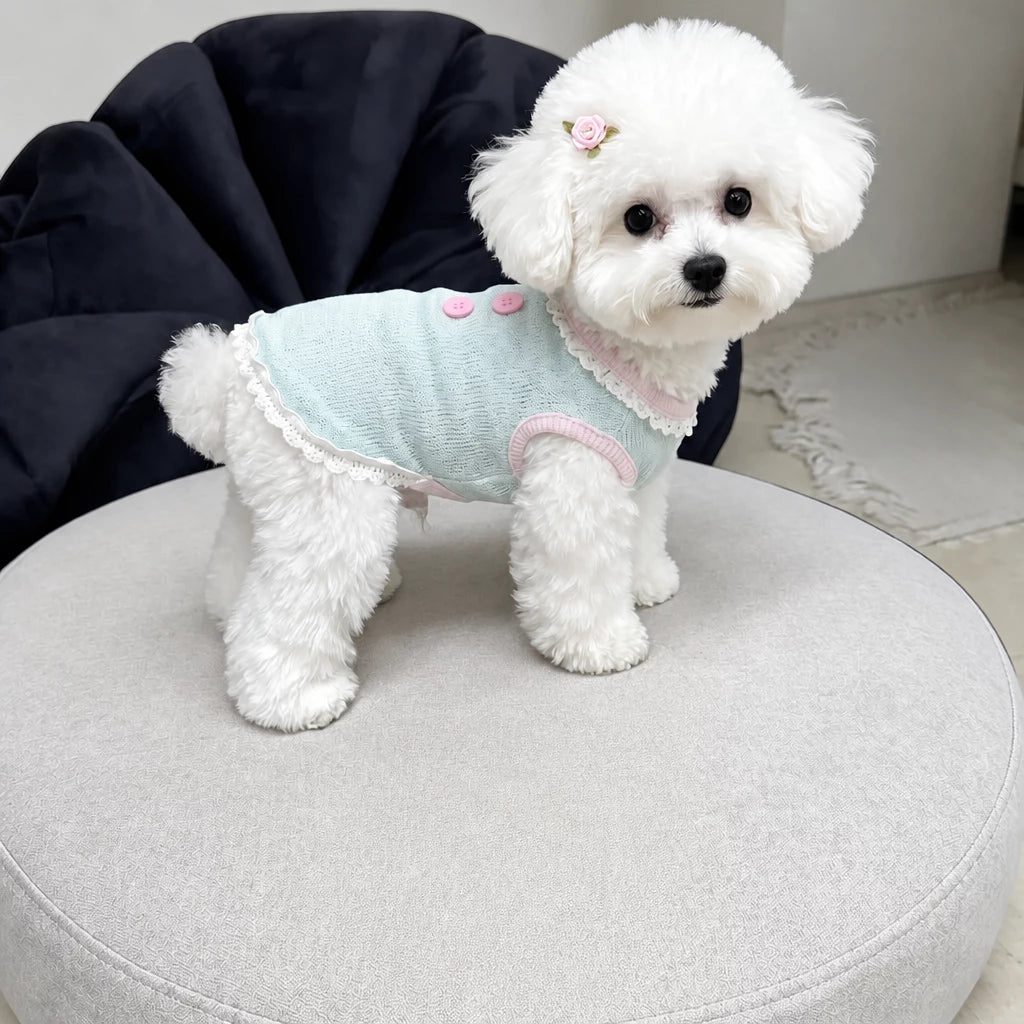 Pet Tank Tops and Strappy Dresses