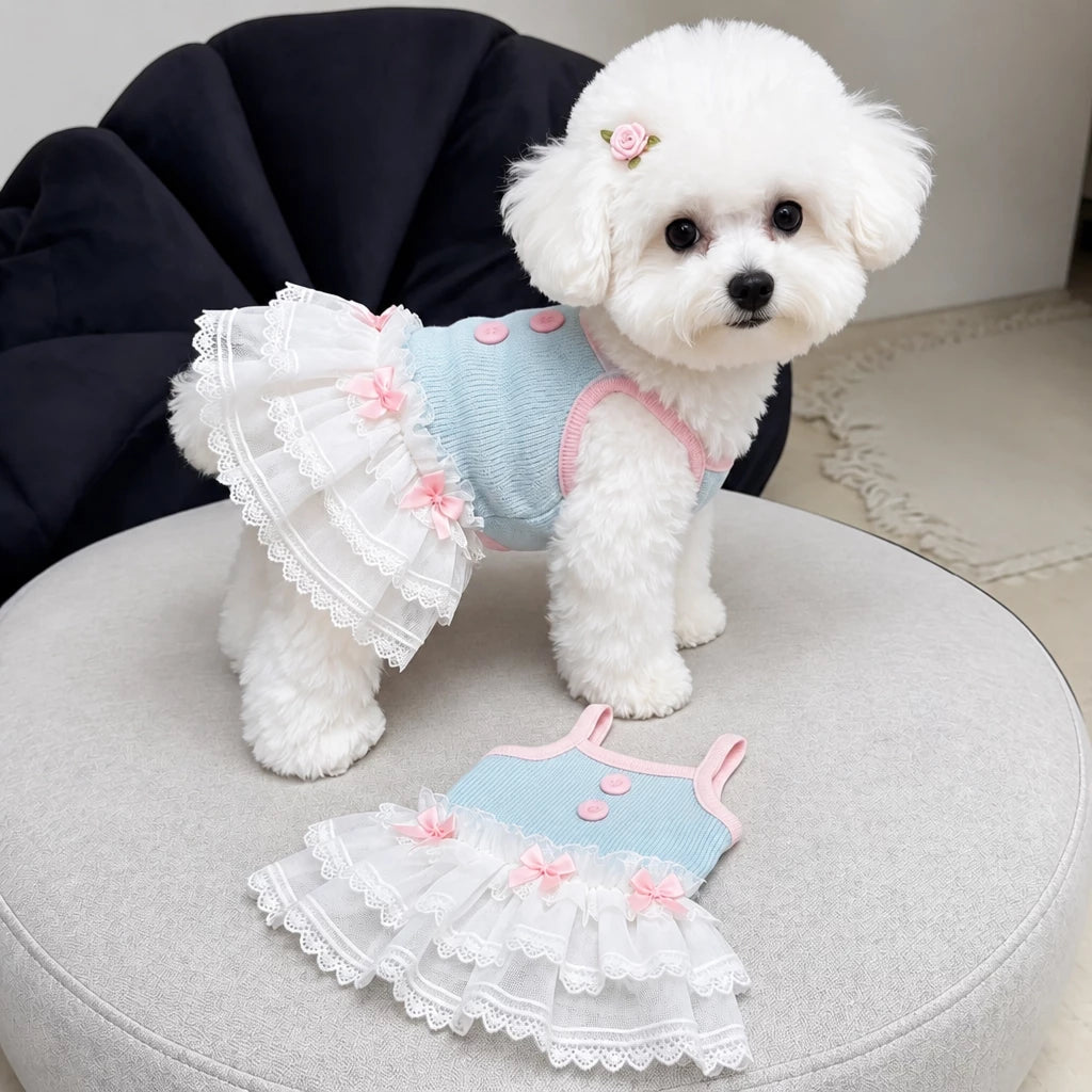 Pet Tank Tops and Strappy Dresses