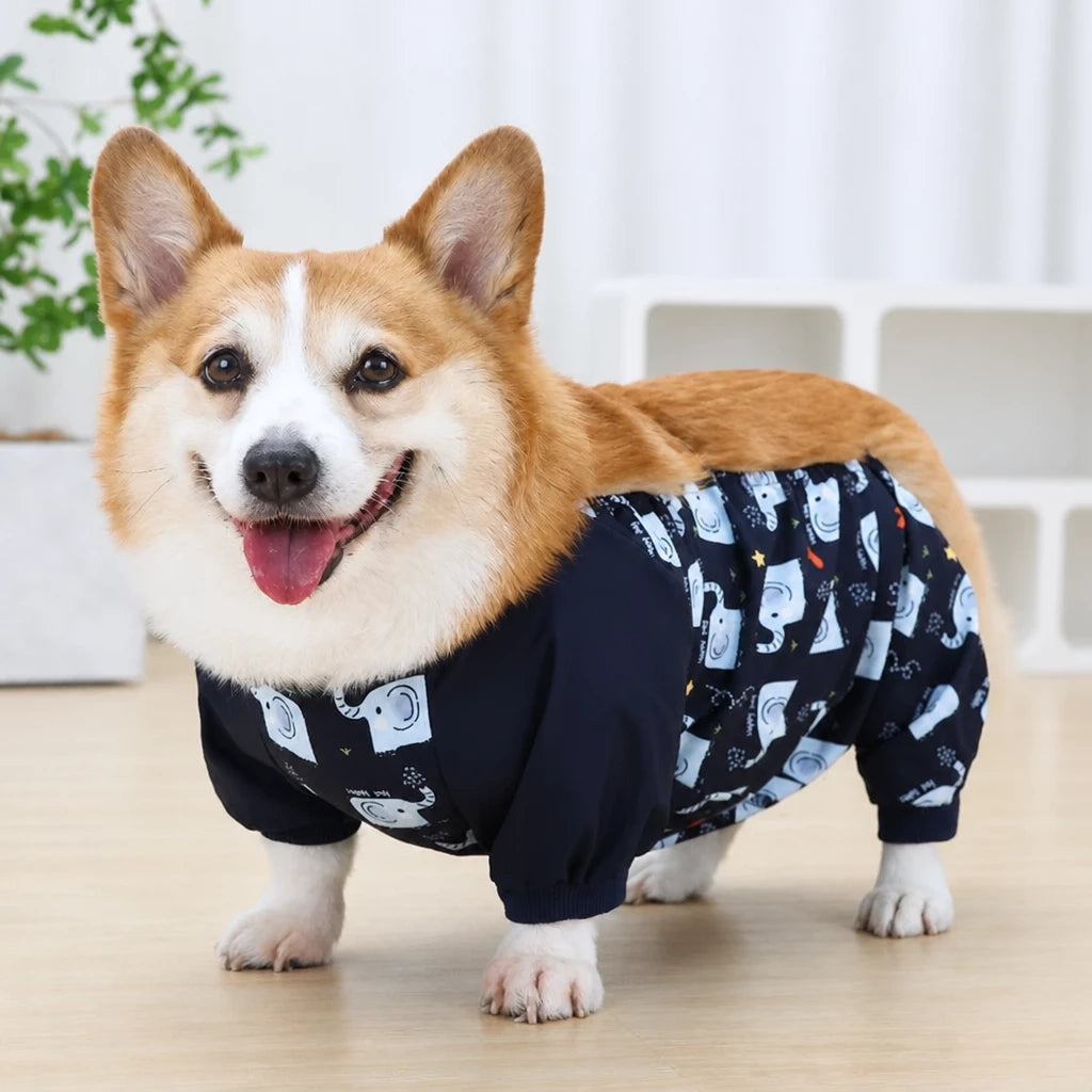 Full-Coverage Four-Leg Dog Raincoat