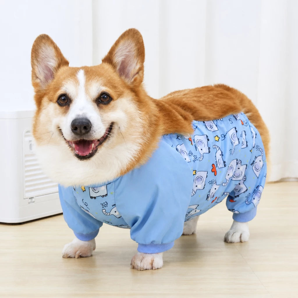 Full-Coverage Four-Leg Dog Raincoat