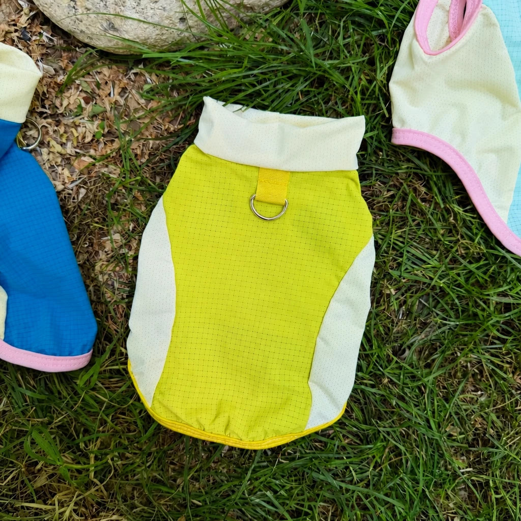 Lightweight Four-Leg Mesh Dog Shirt for Small & Medium Dogs