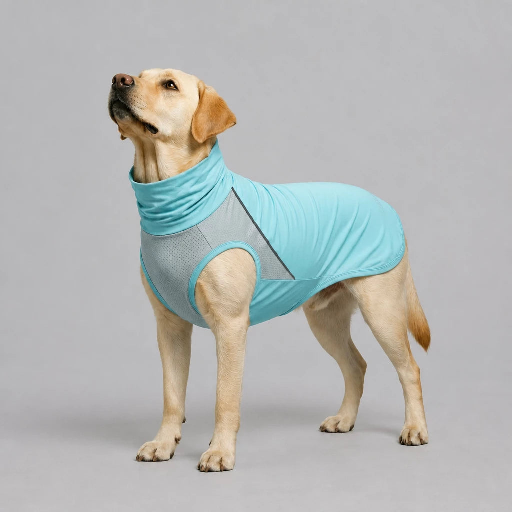 Summer Dog Clothing for Outdoor Wear