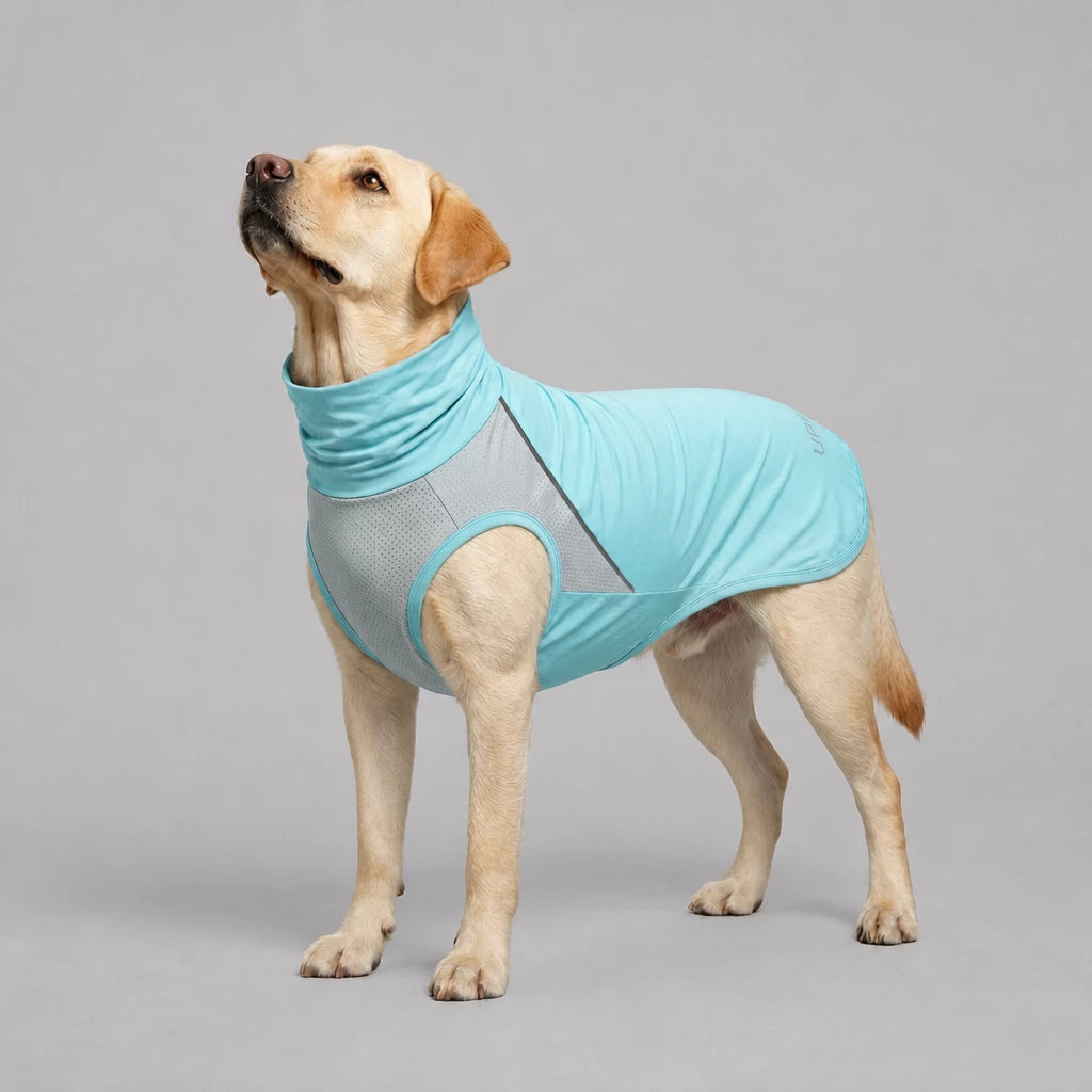 Summer Dog Clothing for Outdoor Wear