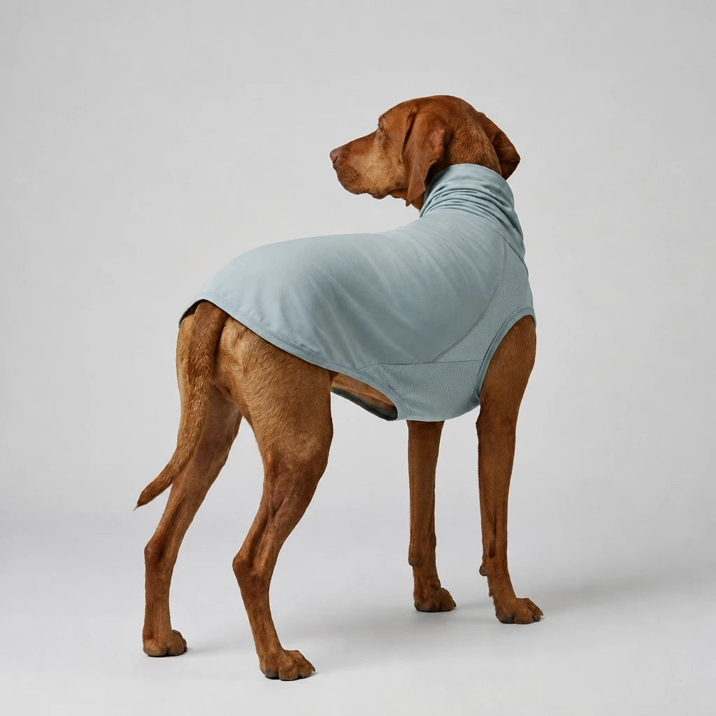 Summer Dog Clothing for Outdoor Wear