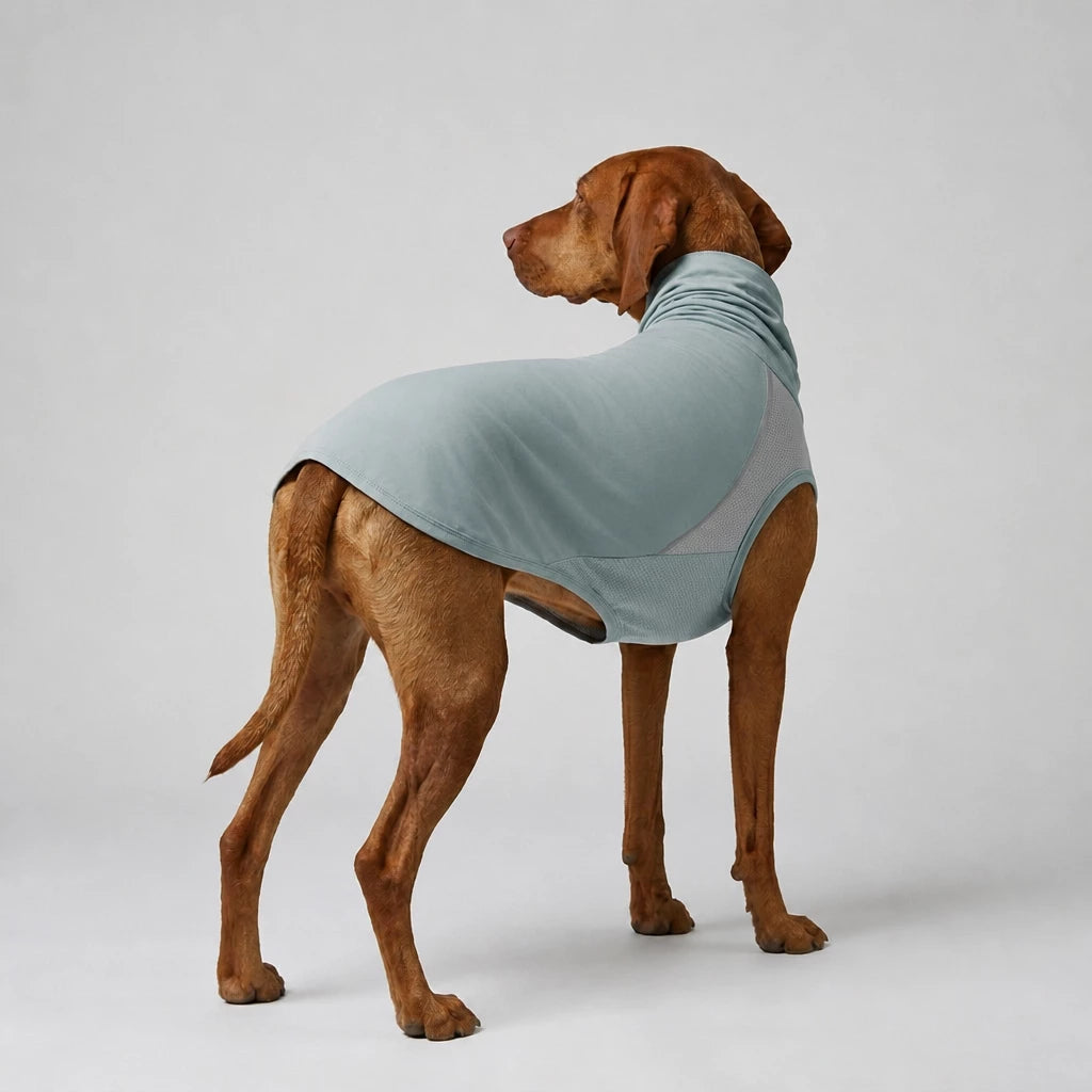 Summer Dog Clothing for Outdoor Wear