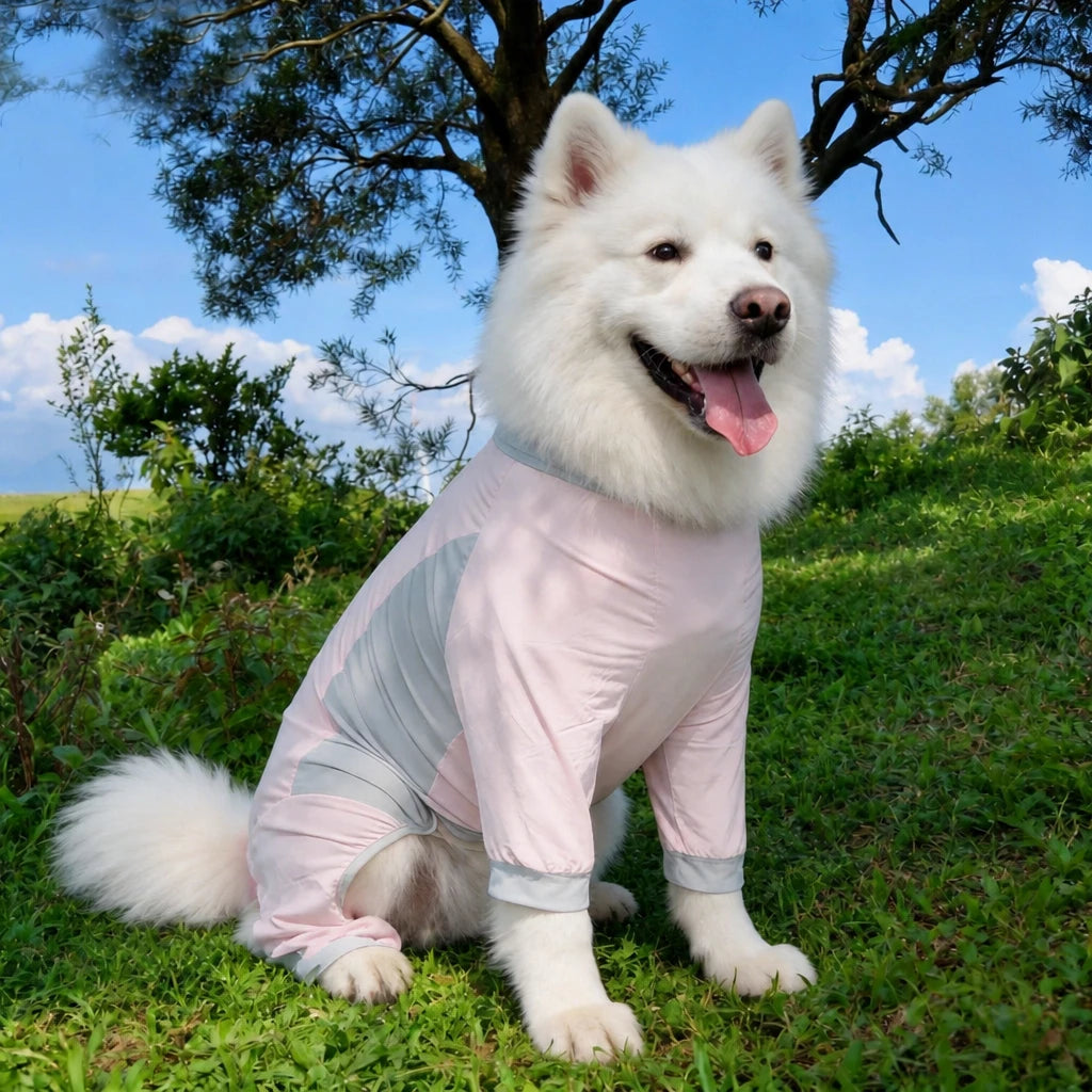 Summer Dog Clothing for Outdoor Wear