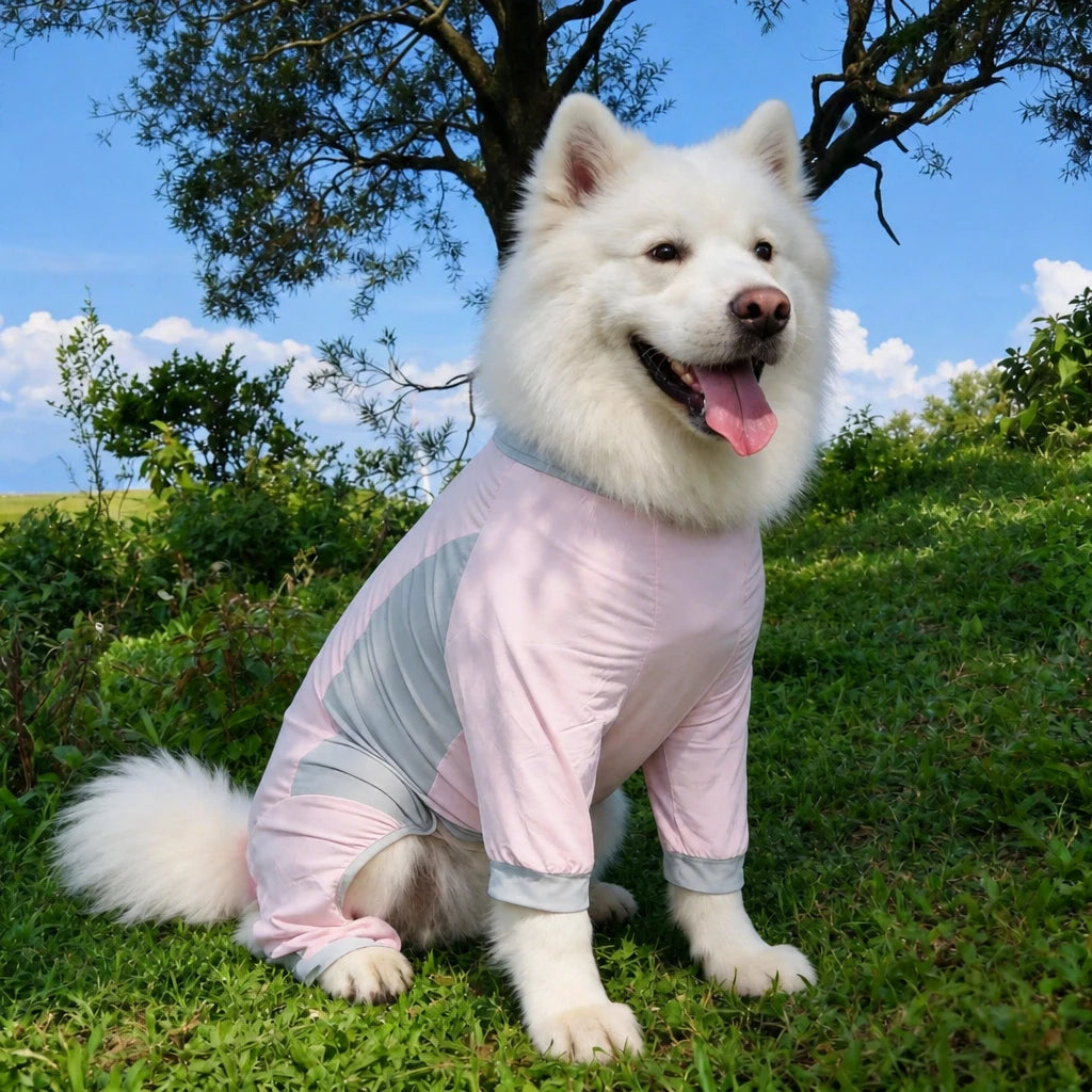 Summer Dog Clothing for Outdoor Wear