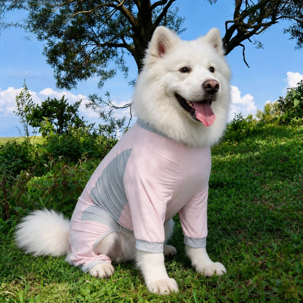 Summer Dog Clothing for Outdoor Wear