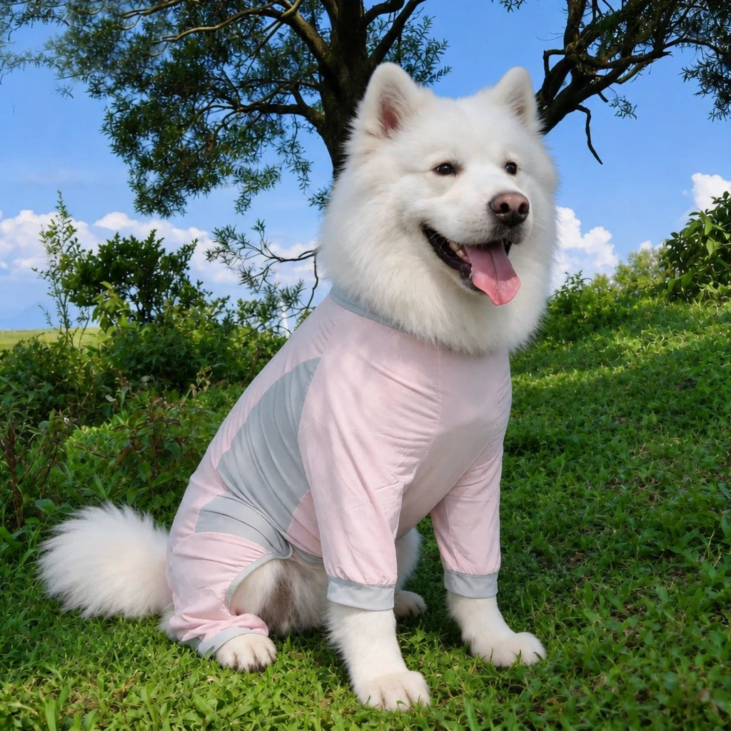 Summer Dog Clothing for Outdoor Wear
