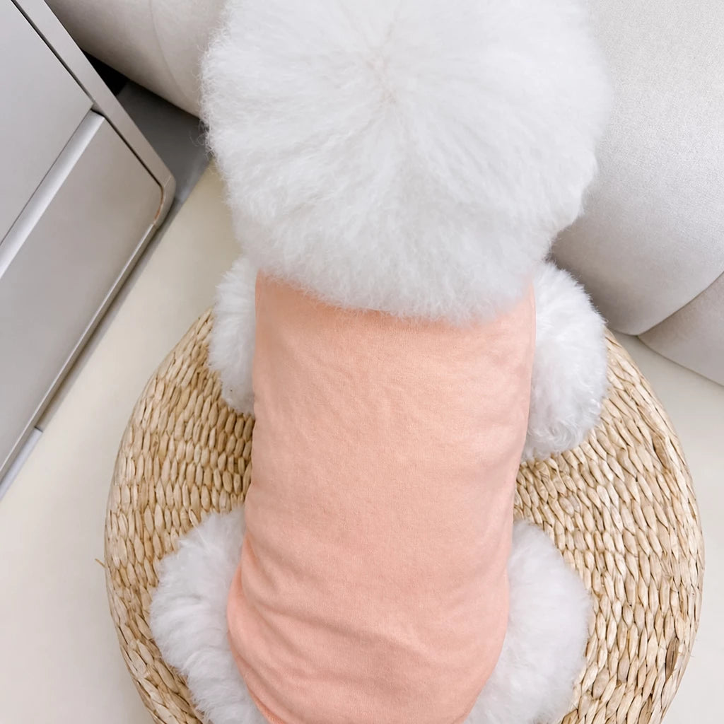 Lightweight Mesh Pet Vest for Cats and Small Dogs