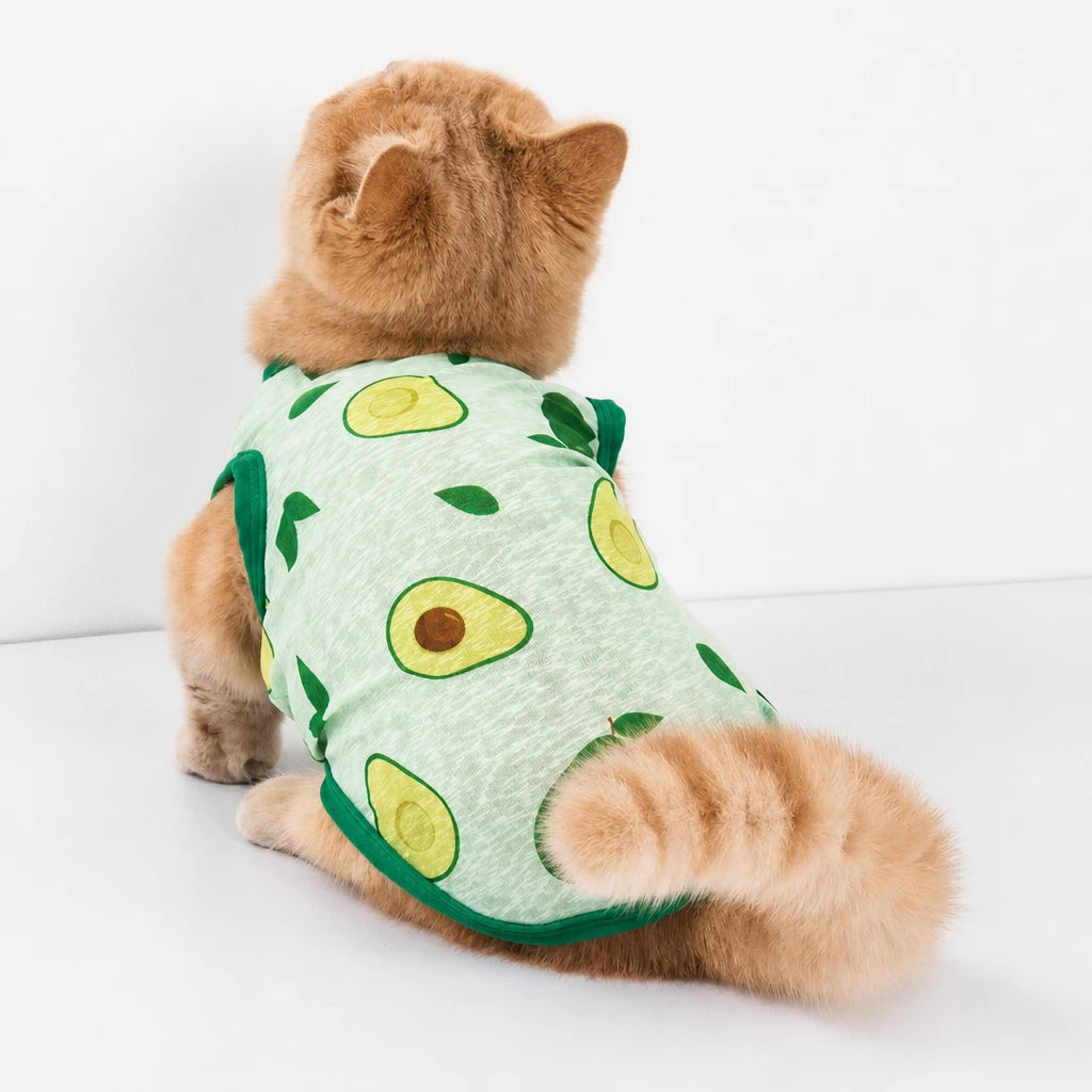 Lightweight Mesh Pet Vest for Cats and Small Dogs
