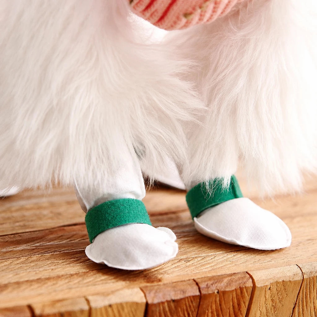 Disposable Dog Paw Covers for Outdoor Walks