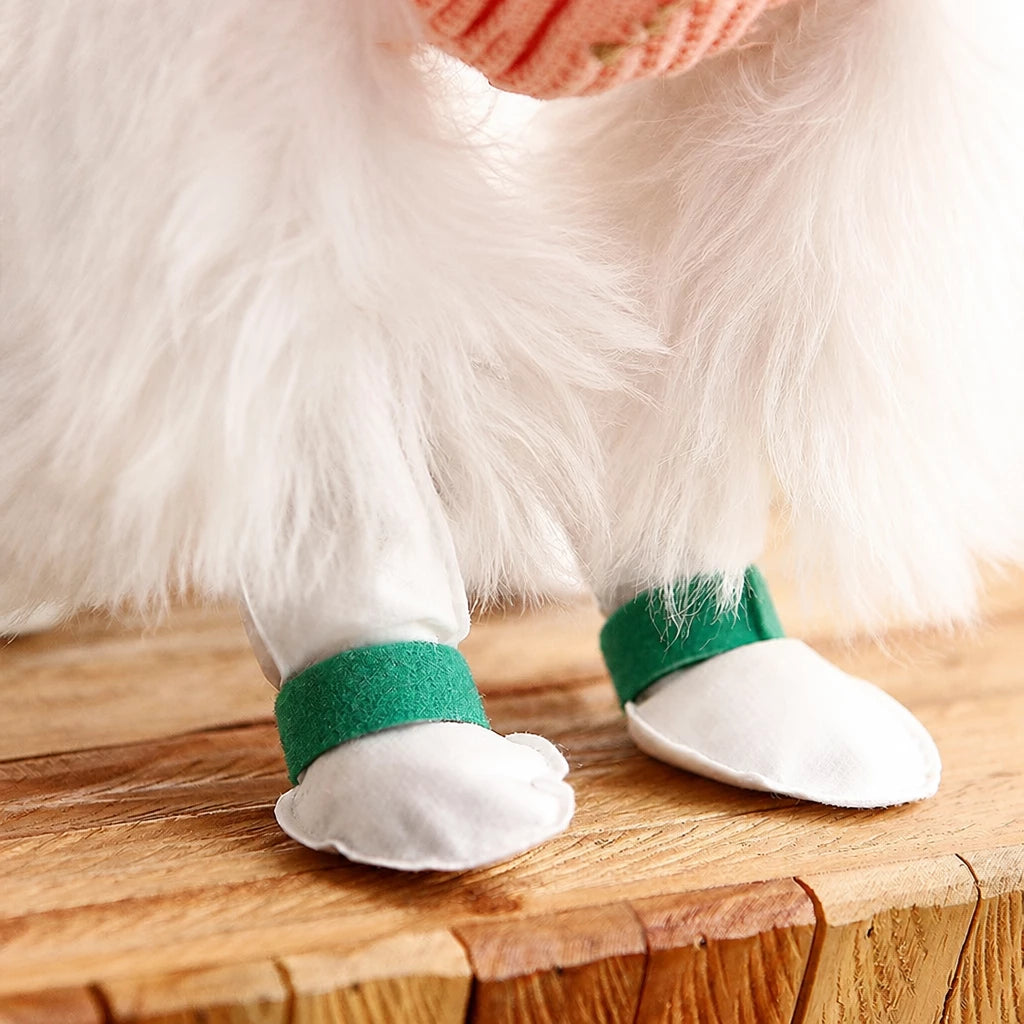 Disposable Dog Paw Covers for Outdoor Walks