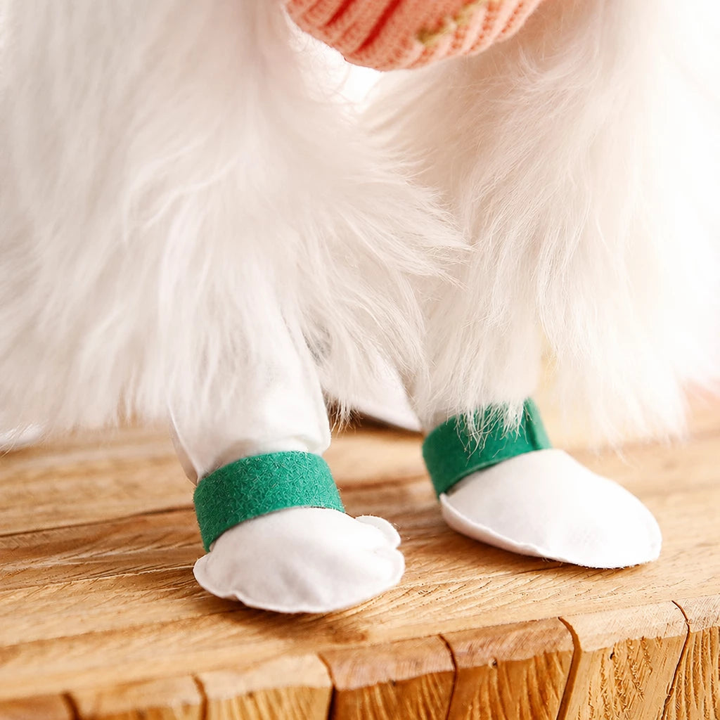 Disposable Dog Paw Covers for Outdoor Walks