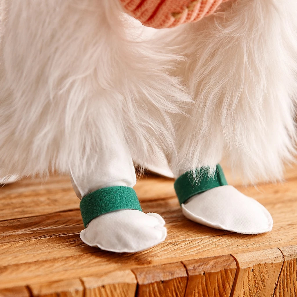 Disposable Dog Paw Covers for Outdoor Walks
