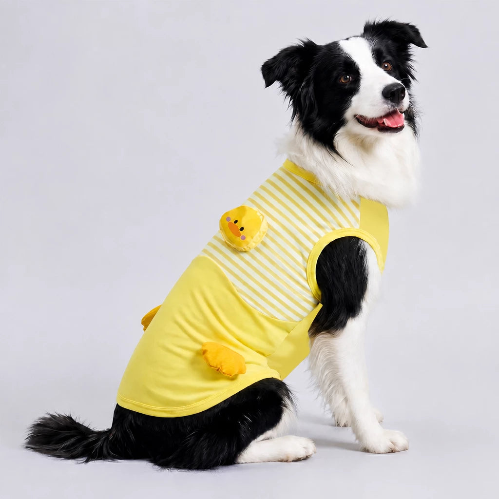 Lightweight Summer Outdoor Vest for Dogs