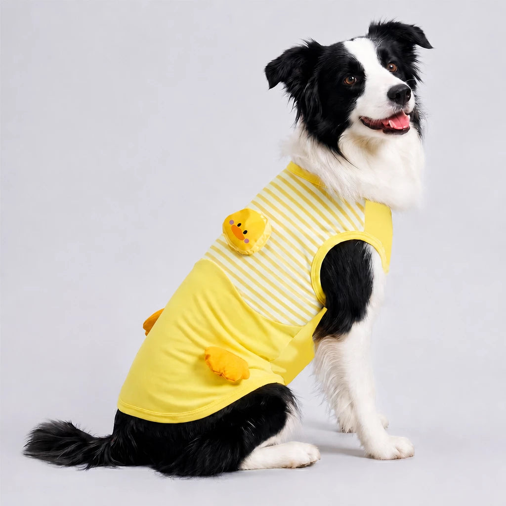Lightweight Summer Outdoor Vest for Dogs