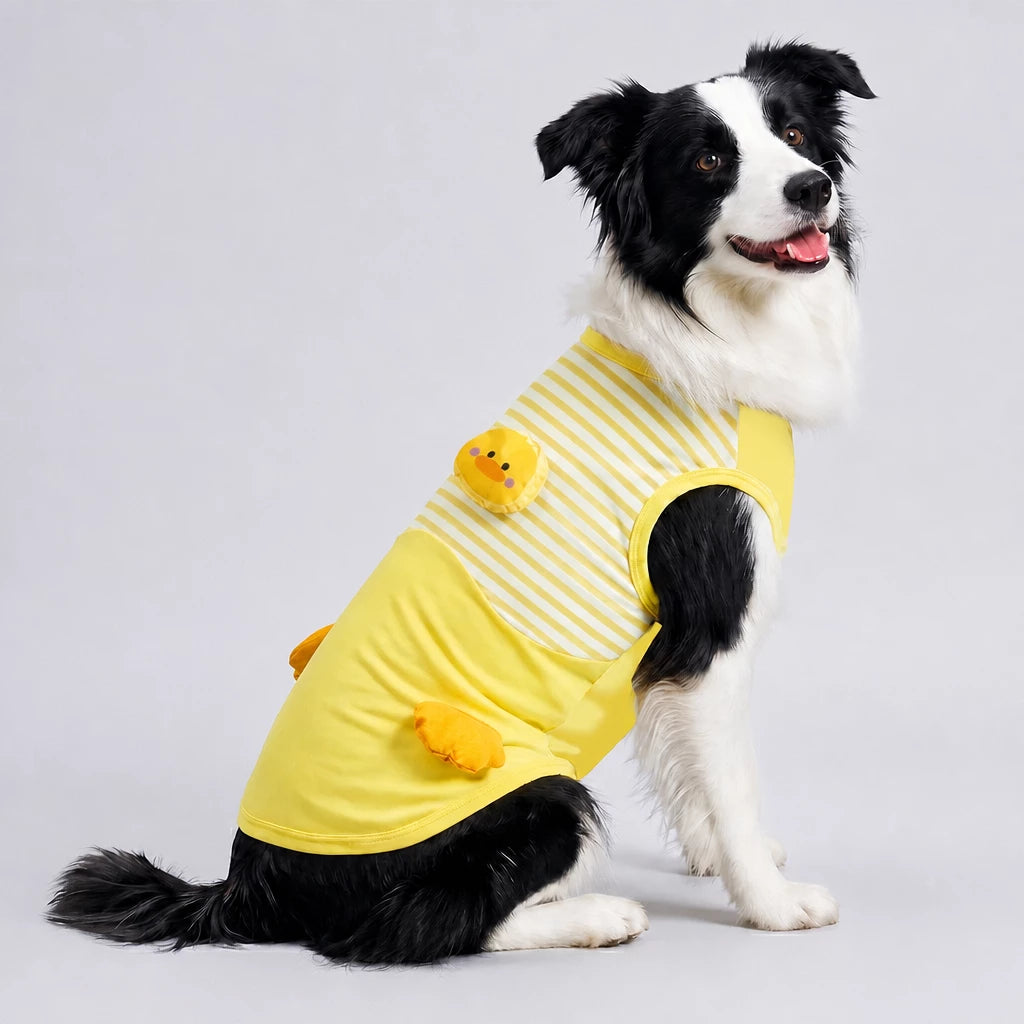 Lightweight Summer Outdoor Vest for Dogs