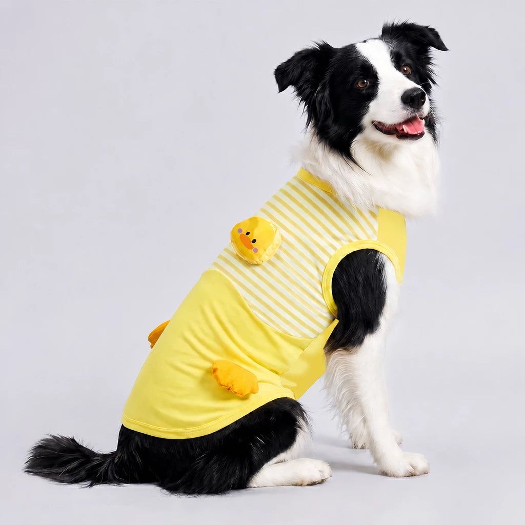 Lightweight Summer Outdoor Vest for Dogs