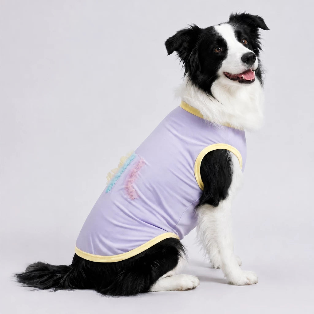 Lightweight Summer Outdoor Vest for Dogs