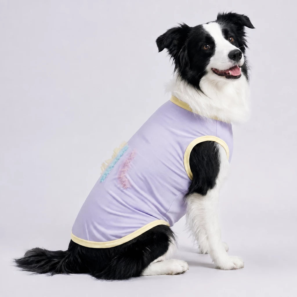 Lightweight Summer Outdoor Vest for Dogs