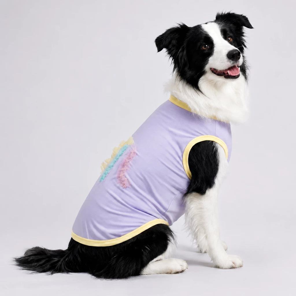 Lightweight Summer Outdoor Vest for Dogs