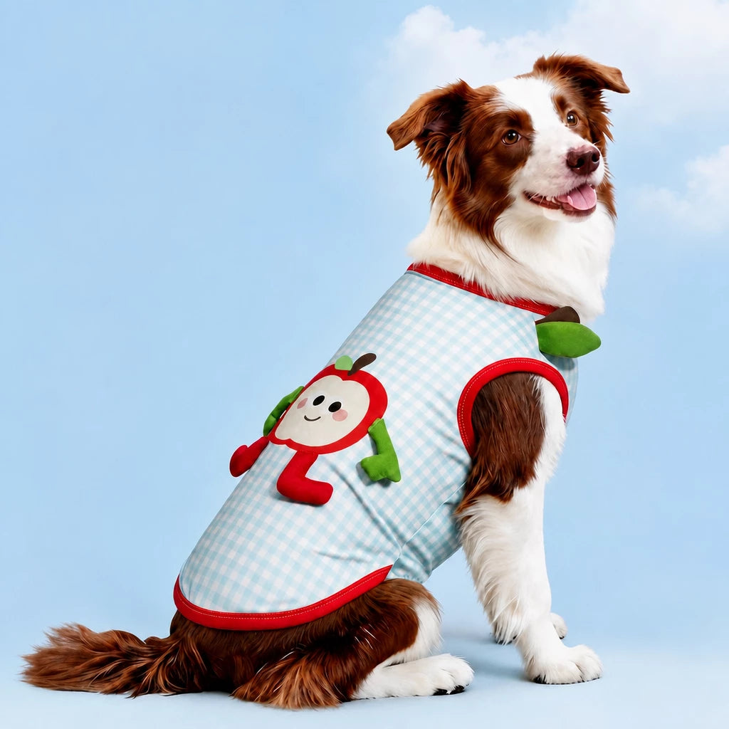 Lightweight Summer Outdoor Vest for Dogs