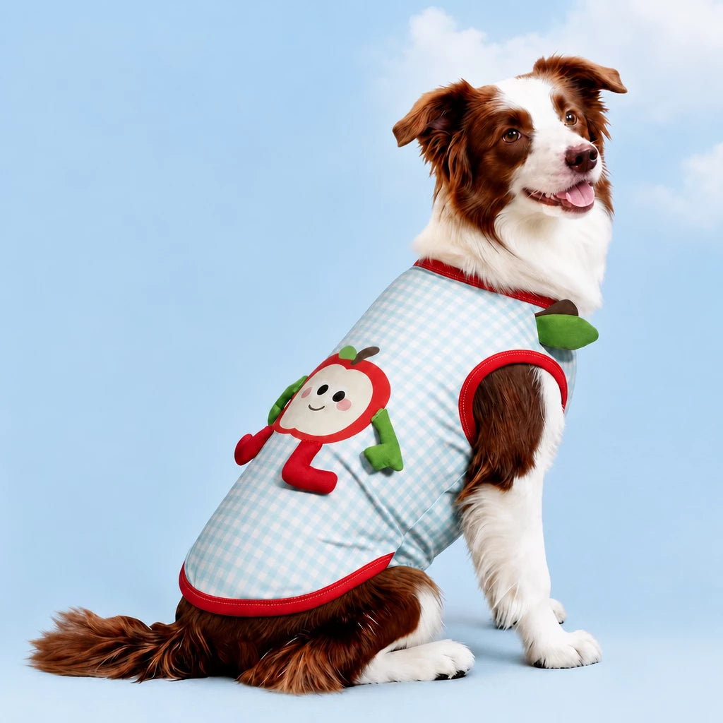 Lightweight Summer Outdoor Vest for Dogs