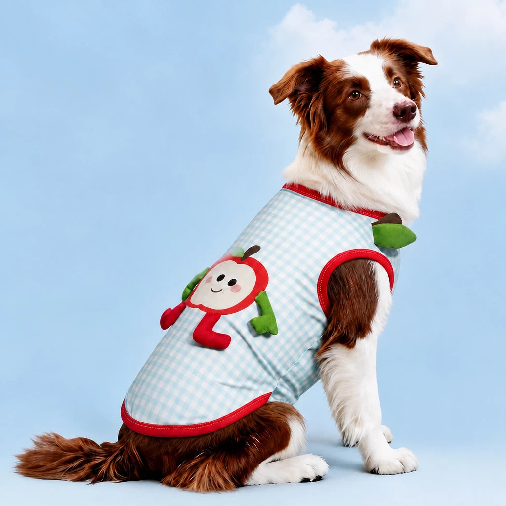 Lightweight Summer Outdoor Vest for Dogs