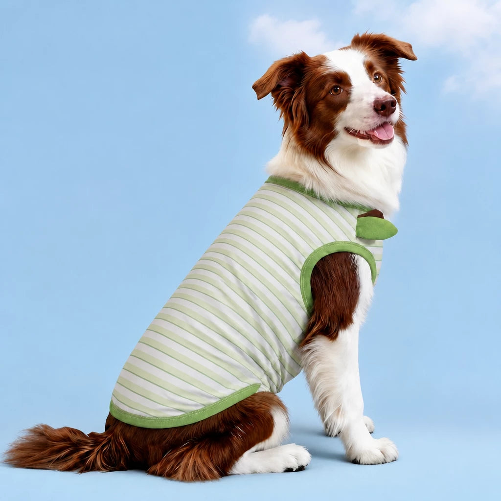 Lightweight Summer Outdoor Vest for Dogs