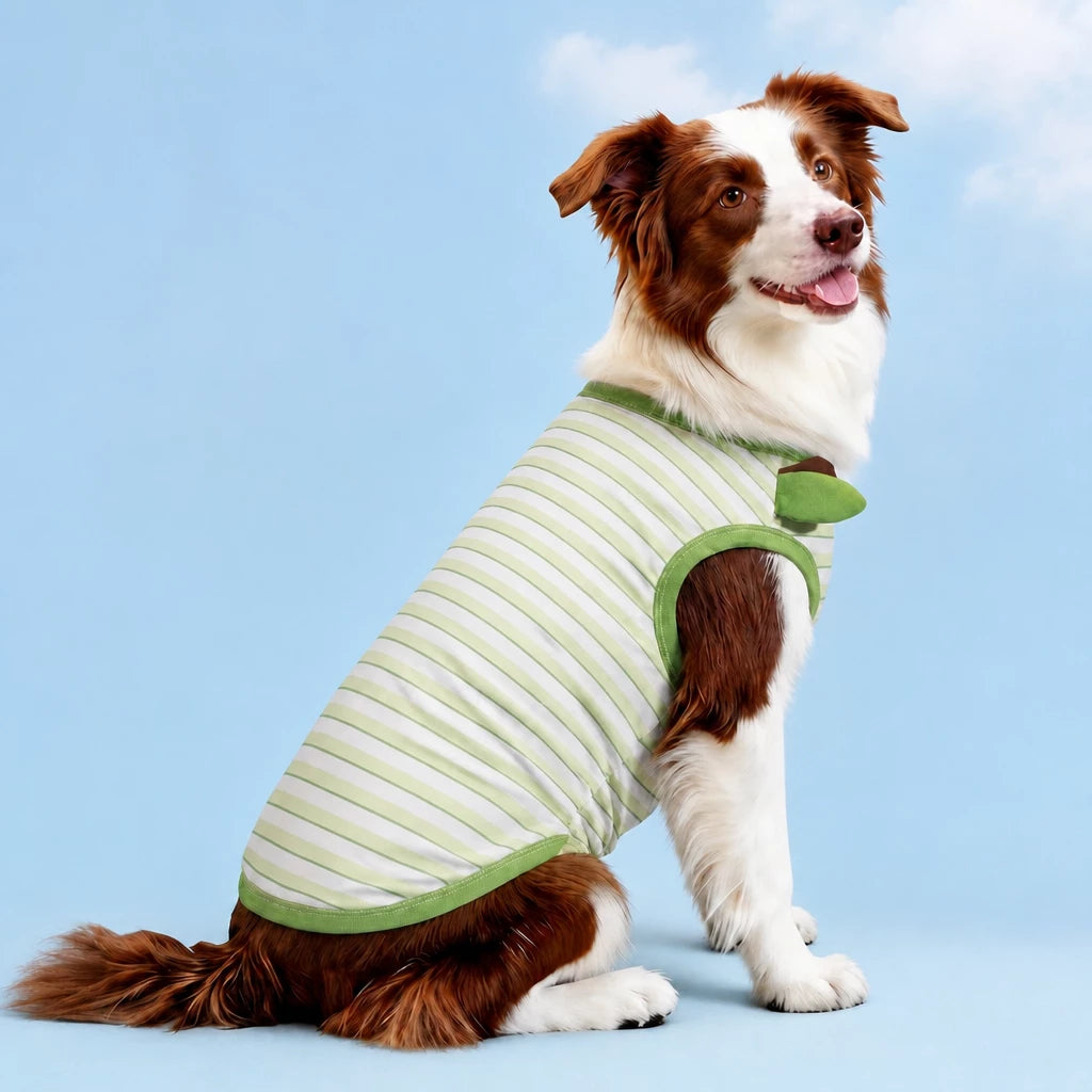 Lightweight Summer Outdoor Vest for Dogs