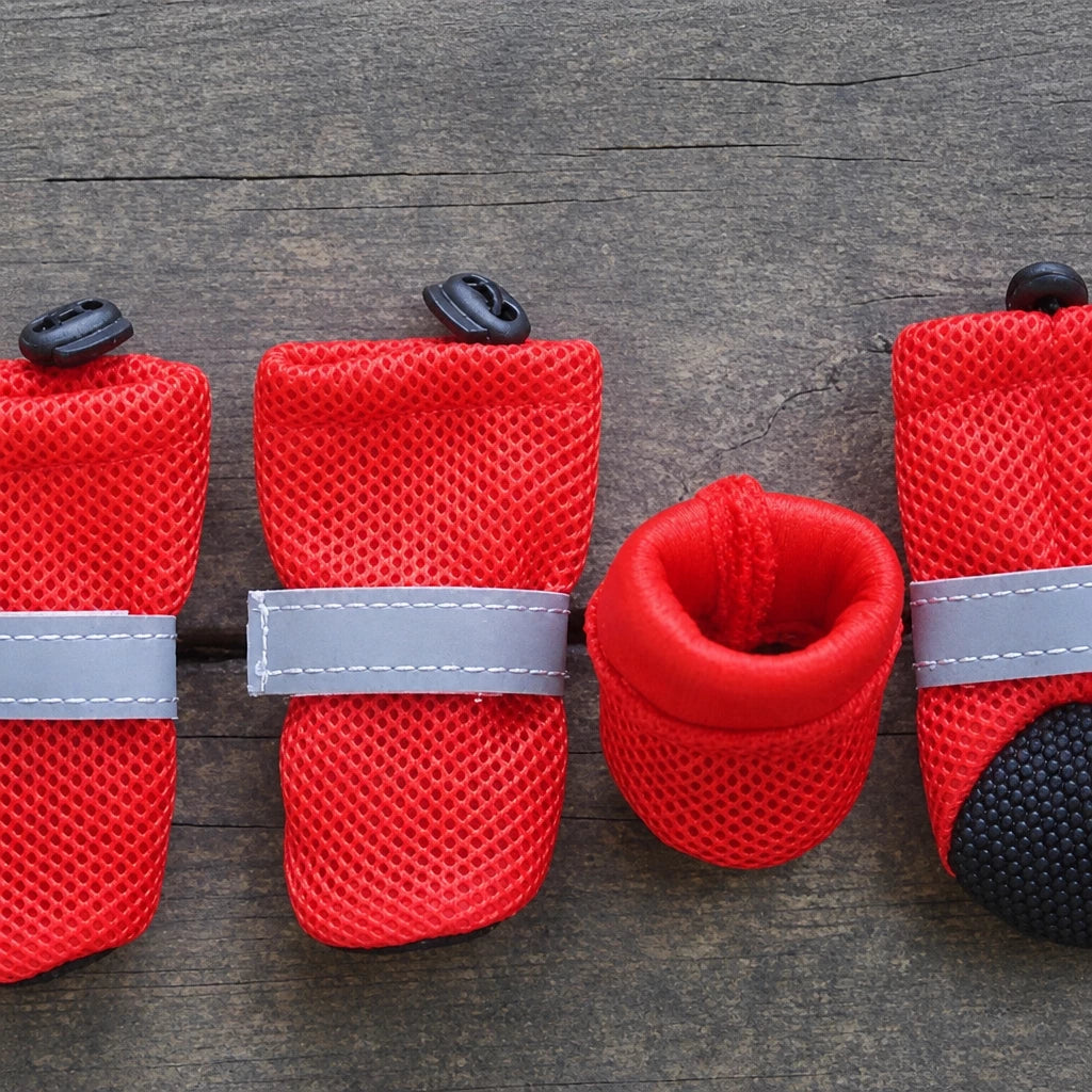 Mesh Dog Shoes with Soft Soles for Everyday Walks