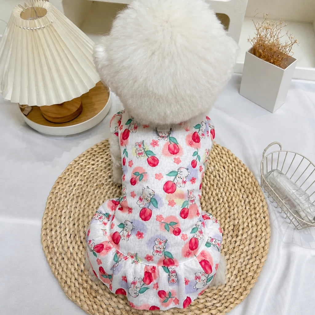 Breathable Mesh Summer Dress for Dogs and Cats