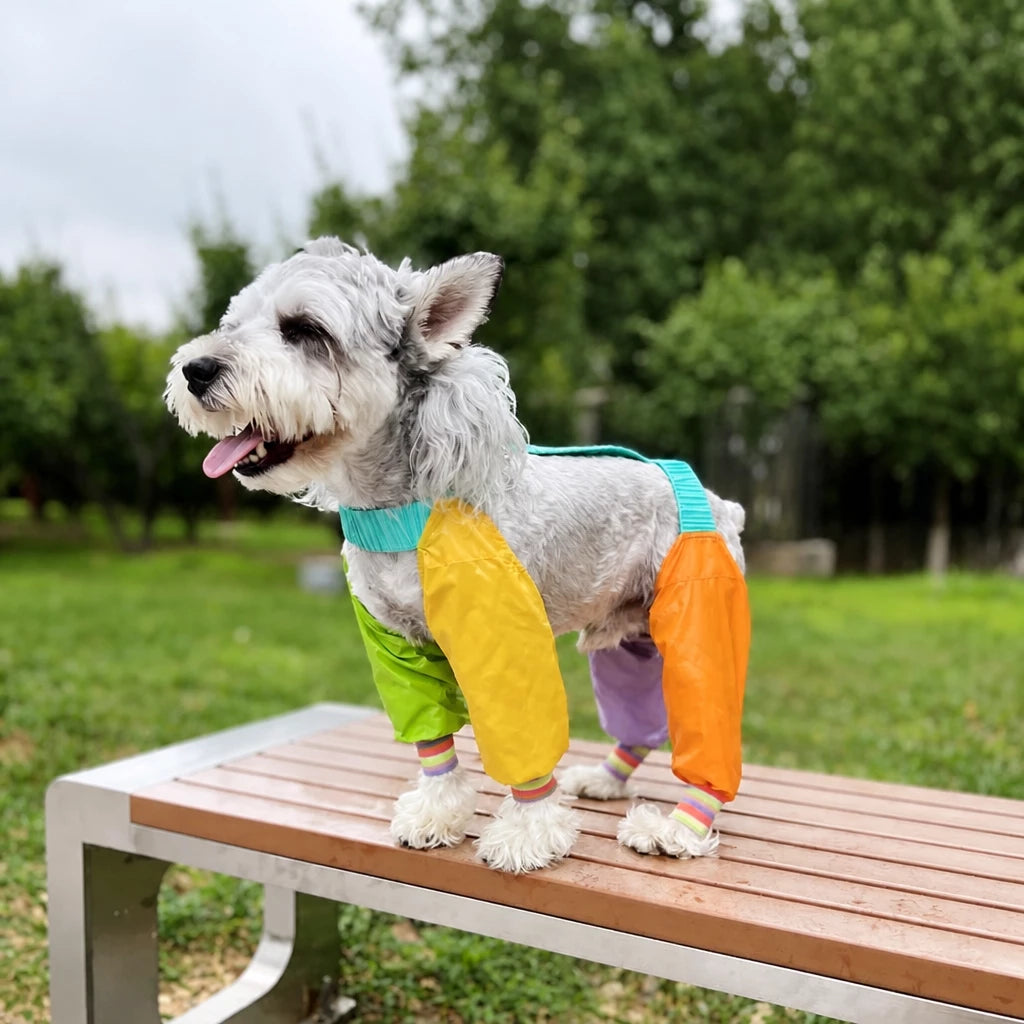 Four-Leg Dog Jumpsuit for Outdoor Wear