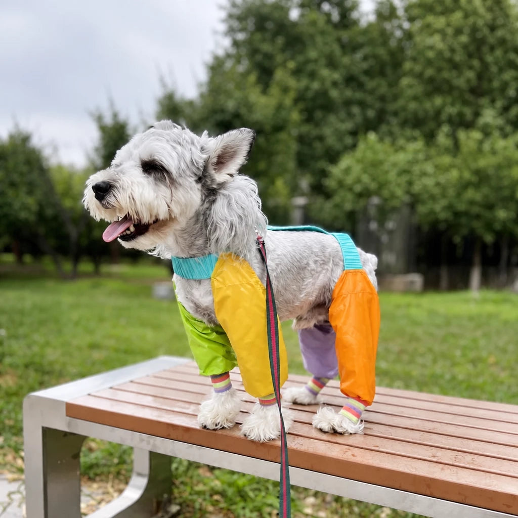 Four-Leg Dog Jumpsuit for Outdoor Wear