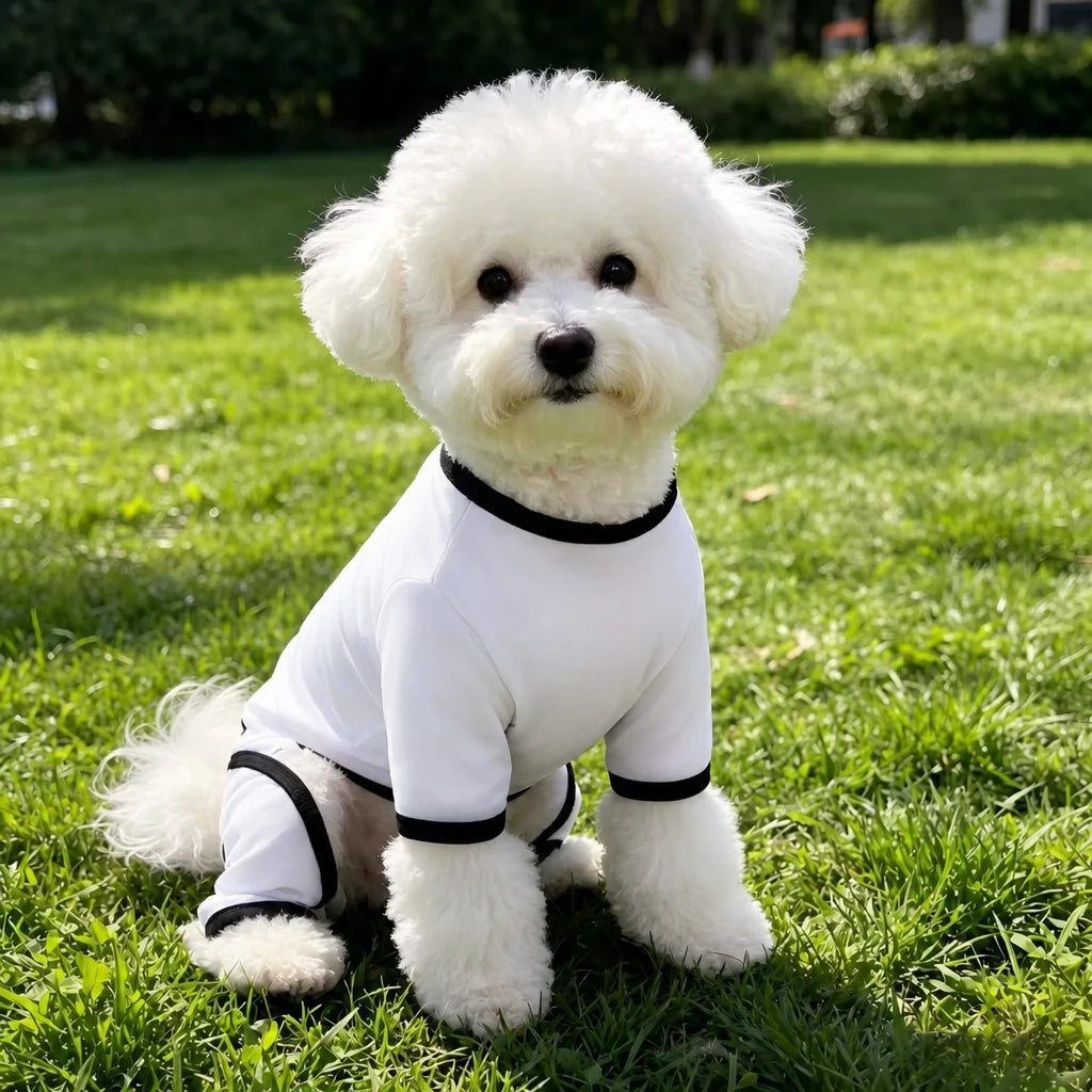Lightweight Mesh Dog Shirt