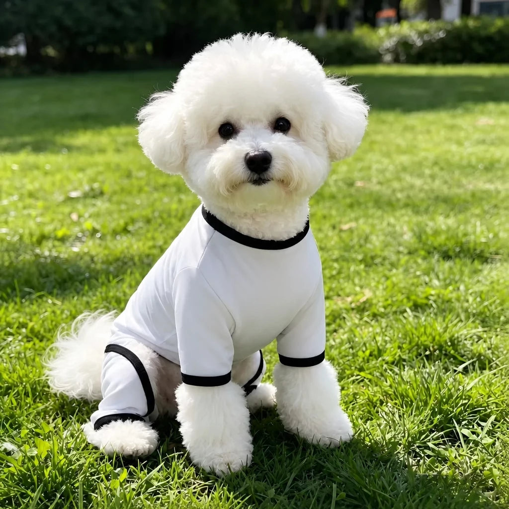 Lightweight Mesh Dog Shirt