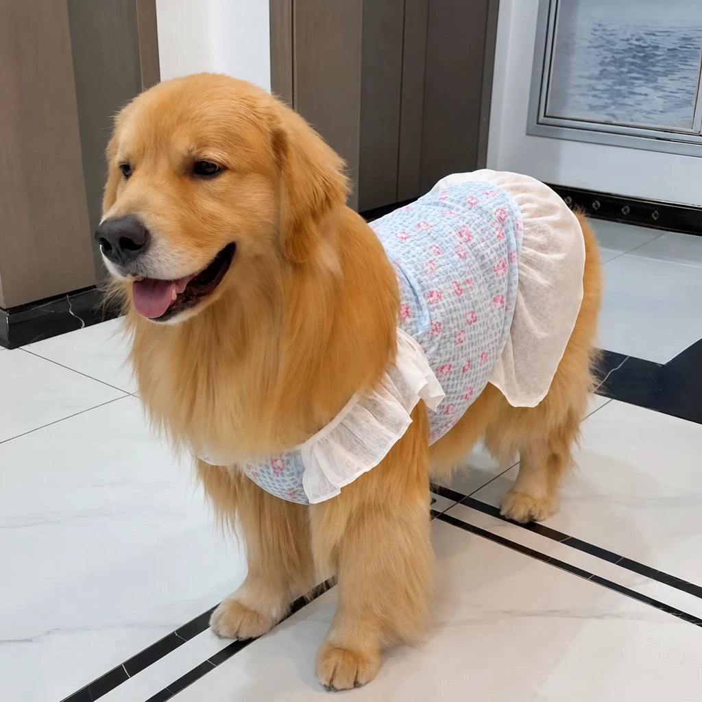 Lightweight Mesh Dog Dress for Warm-Weather Lounging